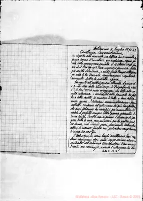 Fotogramma B 3