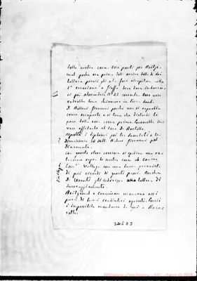 Fotogramma D 3