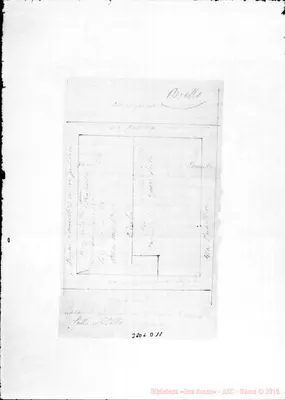 Fotogramma D 11