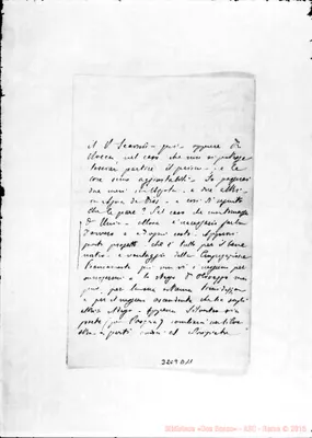 Fotogramma D 11