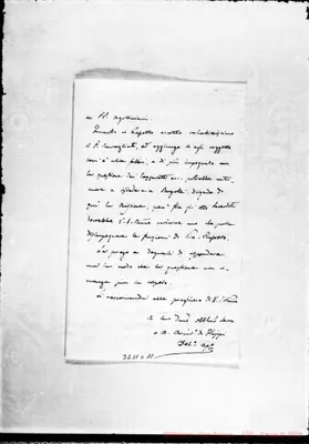 Fotogramma D 11