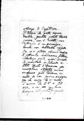 Fotogramma B 1