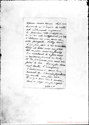 Fotogramma C 10