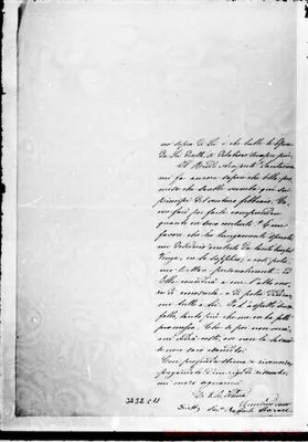 Fotogramma C 11