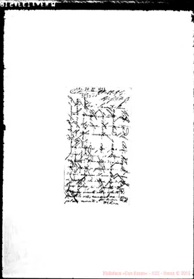 Fotogramma C 1