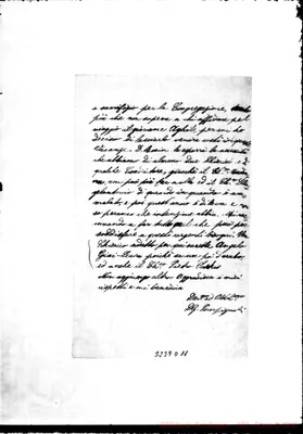 Fotogramma D 11