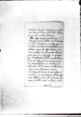 Fotogramma E 8