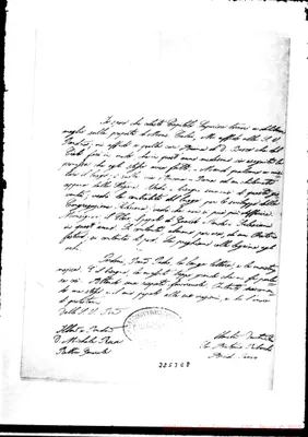Fotogramma E 8