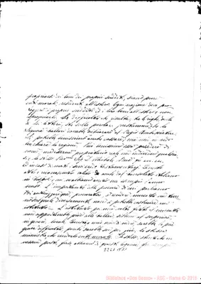 Fotogramma B 11