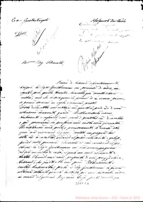 Fotogramma C 6