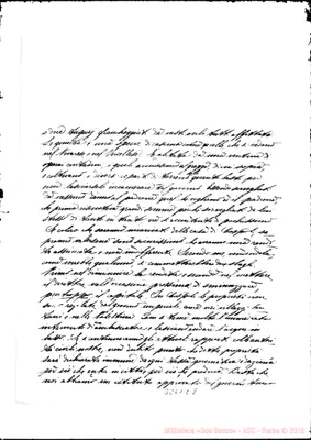 Fotogramma C 8