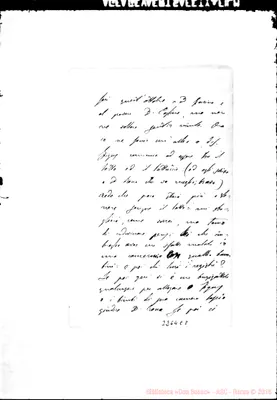 Fotogramma E 8