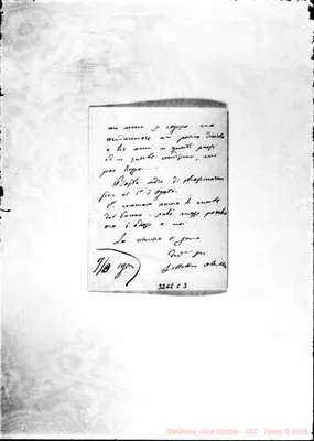 Fotogramma C 3