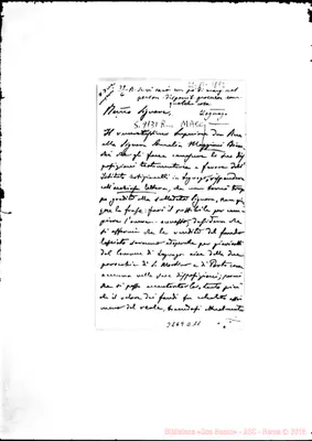 Fotogramma D 11