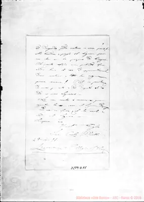 Fotogramma D 11