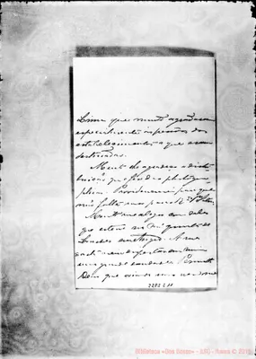 Fotogramma C 11