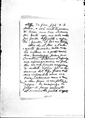 Fotogramma C 5