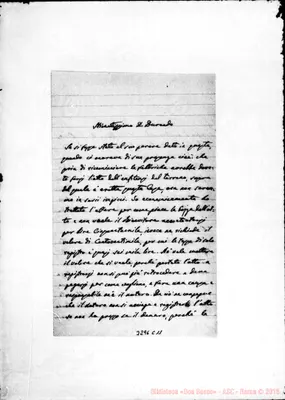 Fotogramma C 11