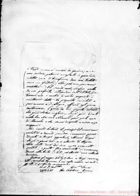Fotogramma C 11