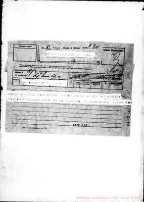 Fotogramma D 12