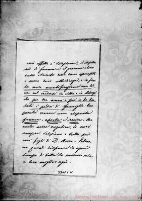Fotogramma C 11