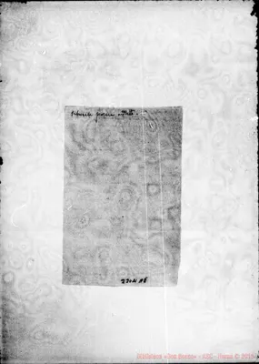 Fotogramma A 8