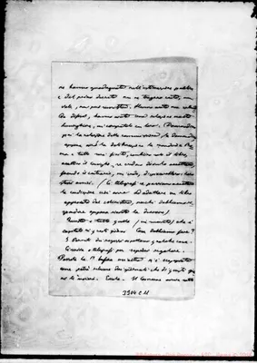 Fotogramma C 11