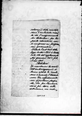 Fotogramma D 11