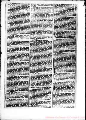 Fotogramma C 11