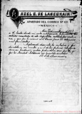 Fotogramma D 11
