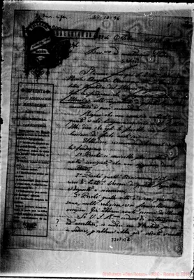 Fotogramma B 2