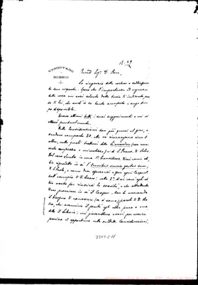 Fotogramma C 11