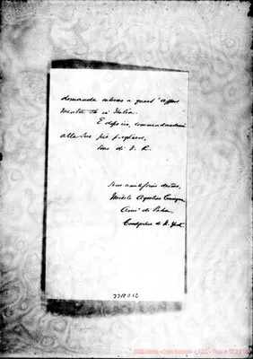 Fotogramma D 12