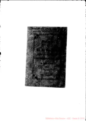 Fotogramma B 9