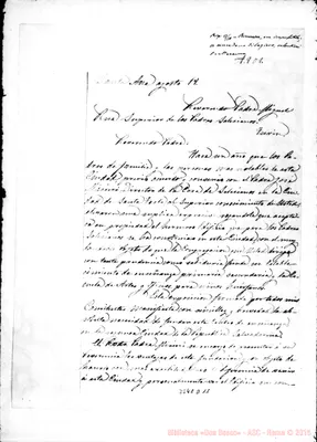 Fotogramma D 11