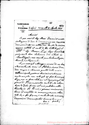 Fotogramma B 12