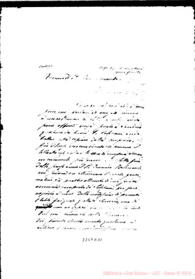 Fotogramma D 11