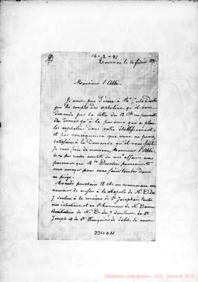 Fotogramma D 11