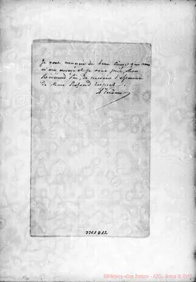 Fotogramma D 12