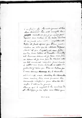 Fotogramma D 10