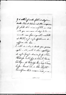 Fotogramma C 11