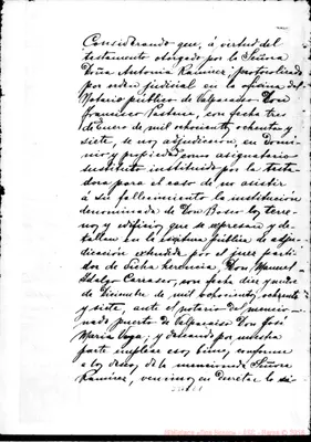 Fotogramma E 1