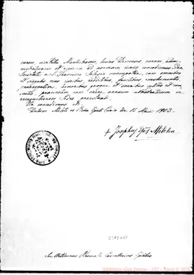 Fotogramma B 8