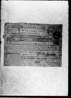 Fotogramma C 1