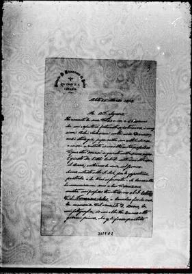 Fotogramma C 2