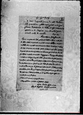 Fotogramma C 8