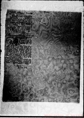 Fotogramma D 2