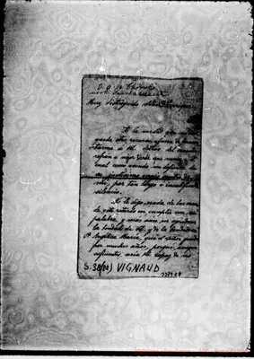 Fotogramma E 8