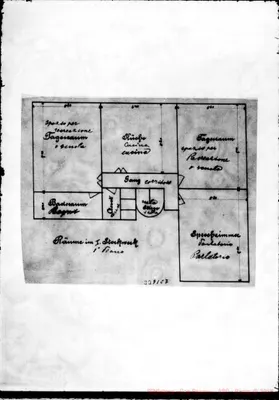 Fotogramma C 7