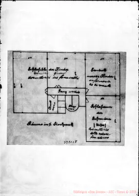 Fotogramma C 8